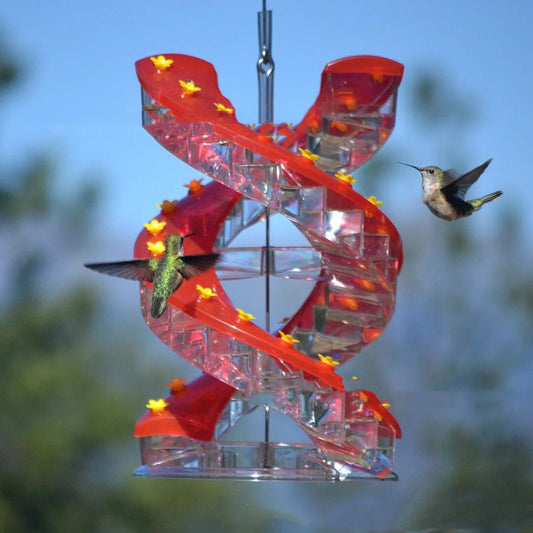 Climbing Ladder Spiral Hummingbird Feeder