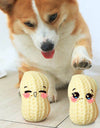 Peanut-Shaped Squeaky Dog Toy