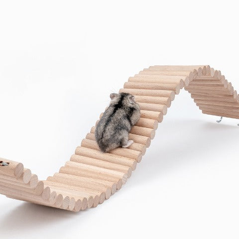 Swing Ladder for Hamsters: a hamster on it 