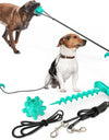 PawVenture Outdoor Dog Leash & Toy Set