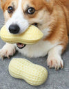 Peanut-Shaped Squeaky Dog Toy