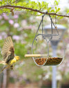 Acrylic Bird Food Box