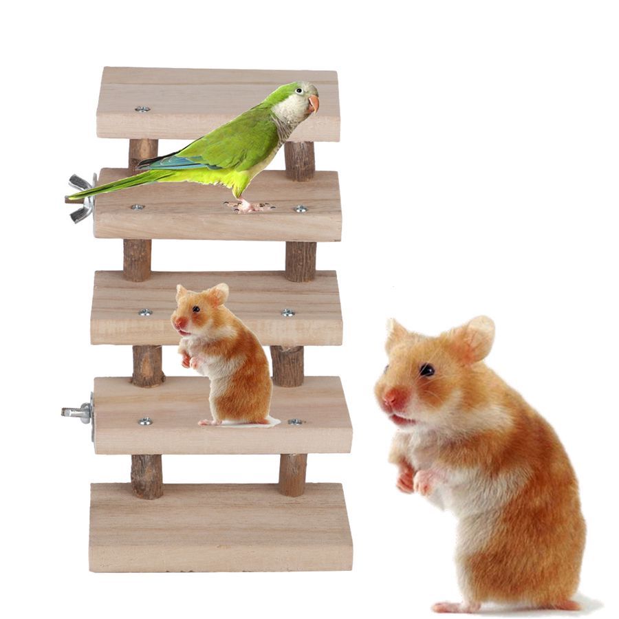 Log Stairs Bird Toy