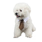 Stylish Pet Ties