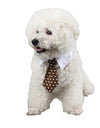 Stylish Pet Ties