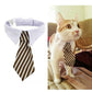 Stylish Pet Ties