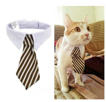 Stylish Pet Ties