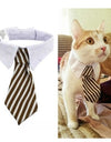 Stylish Pet Ties