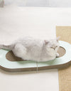 Folding Cat Grabbing Board with Ball