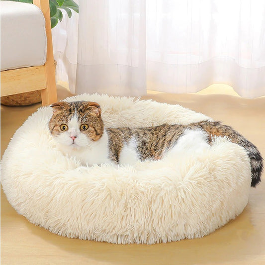 Ultra-Soft Plush Bed