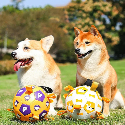 PawPals Premium Dog Football