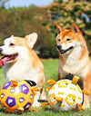 PawPals Premium Dog Football