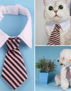 Stylish Pet Ties