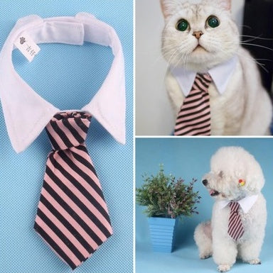 Stylish Pet Ties