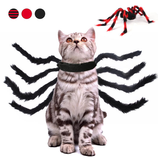 Spooky Spider Pet Costume for Cats & Dogs