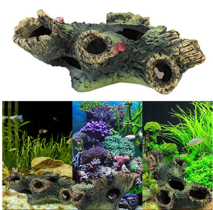Décoration élégante d'aquarium avec branches d'arbres