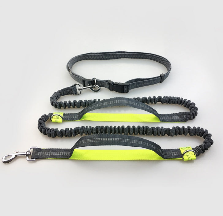 Multi-Function Running Reflective Pull Leash