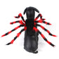 Spooky Spider Pet Costume for Cats & Dogs