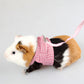 CozyPet Guinea Pig Clothes Set