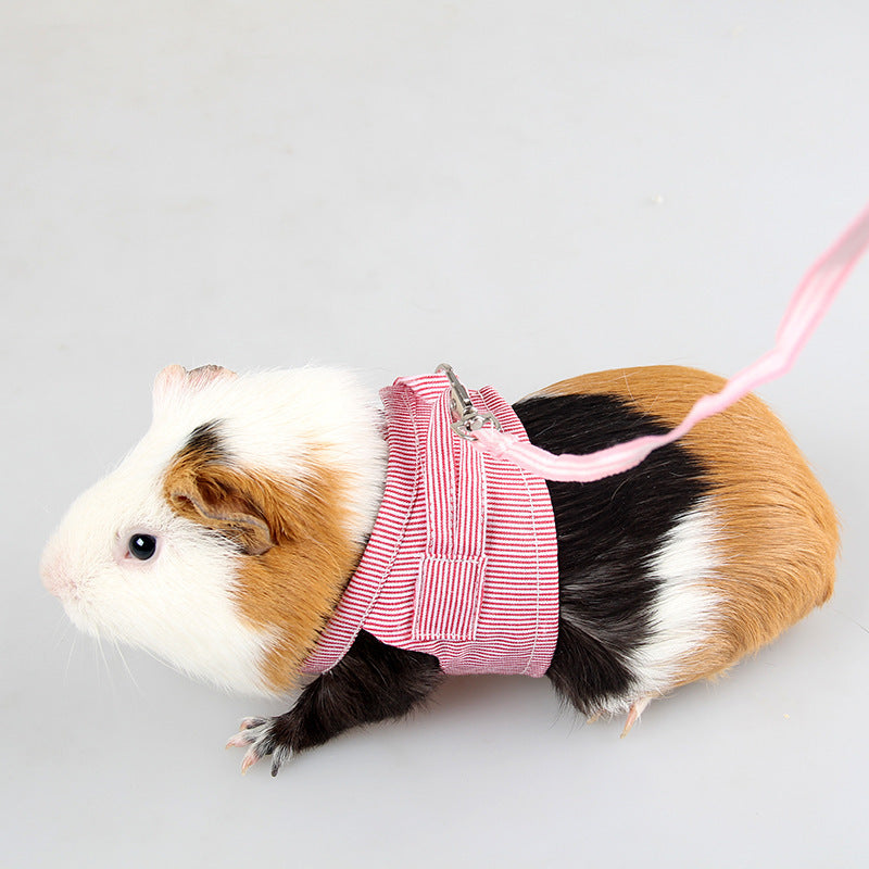 CozyPet Guinea Pig Clothes Set