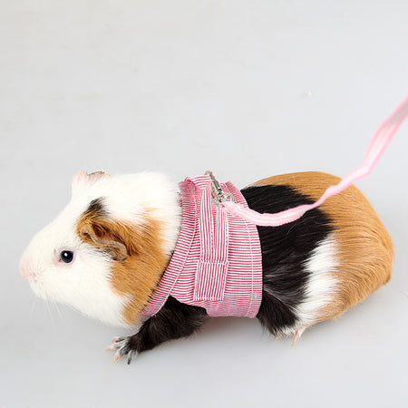 Guinea Pig Cotton Harness with Traction Rope