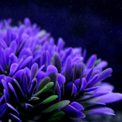 Décoration d'aquarium en herbe ronde violette