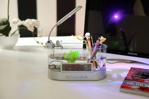 Mini Desktop Aquarium with Pen Holder