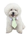 Stylish Pet Ties