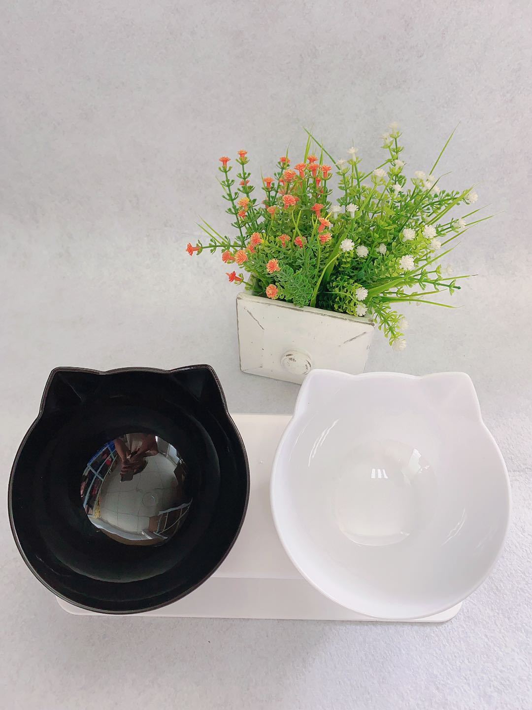 Cat Feeding Station with Dual Bowls