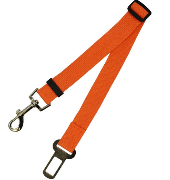 PetGuard SecureRide Leash