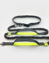 Multi-Function Running Reflective Pull Leash