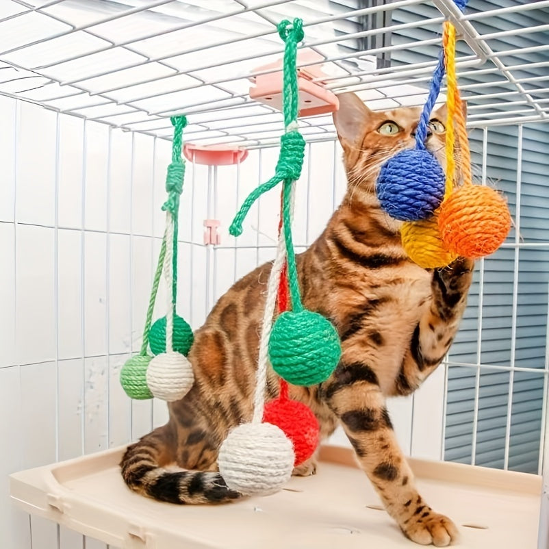 Chewable Kitten Toy Ball