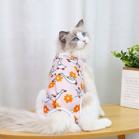 After-Surgery Cat Clothing