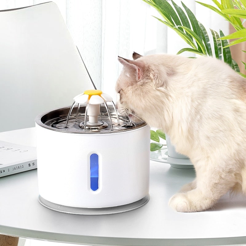 Automatic Cat Fountain With LED Lighting