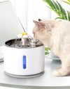 Automatic Cat Fountain with LED Lighting