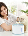 Automatic Cat Fountain with LED Lighting