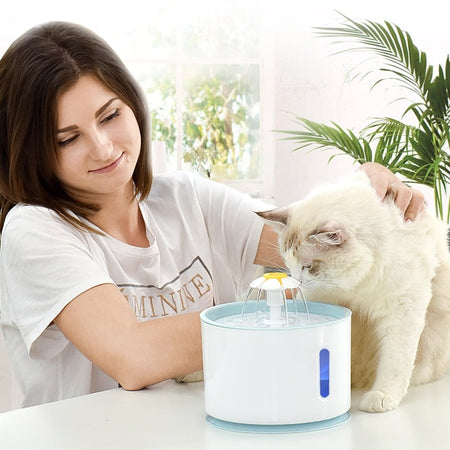 Automatic Cat Fountain with LED Lighting