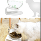 Cat Feeding Station with Dual Bowls