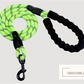 Reflective Nylon Dog Leash