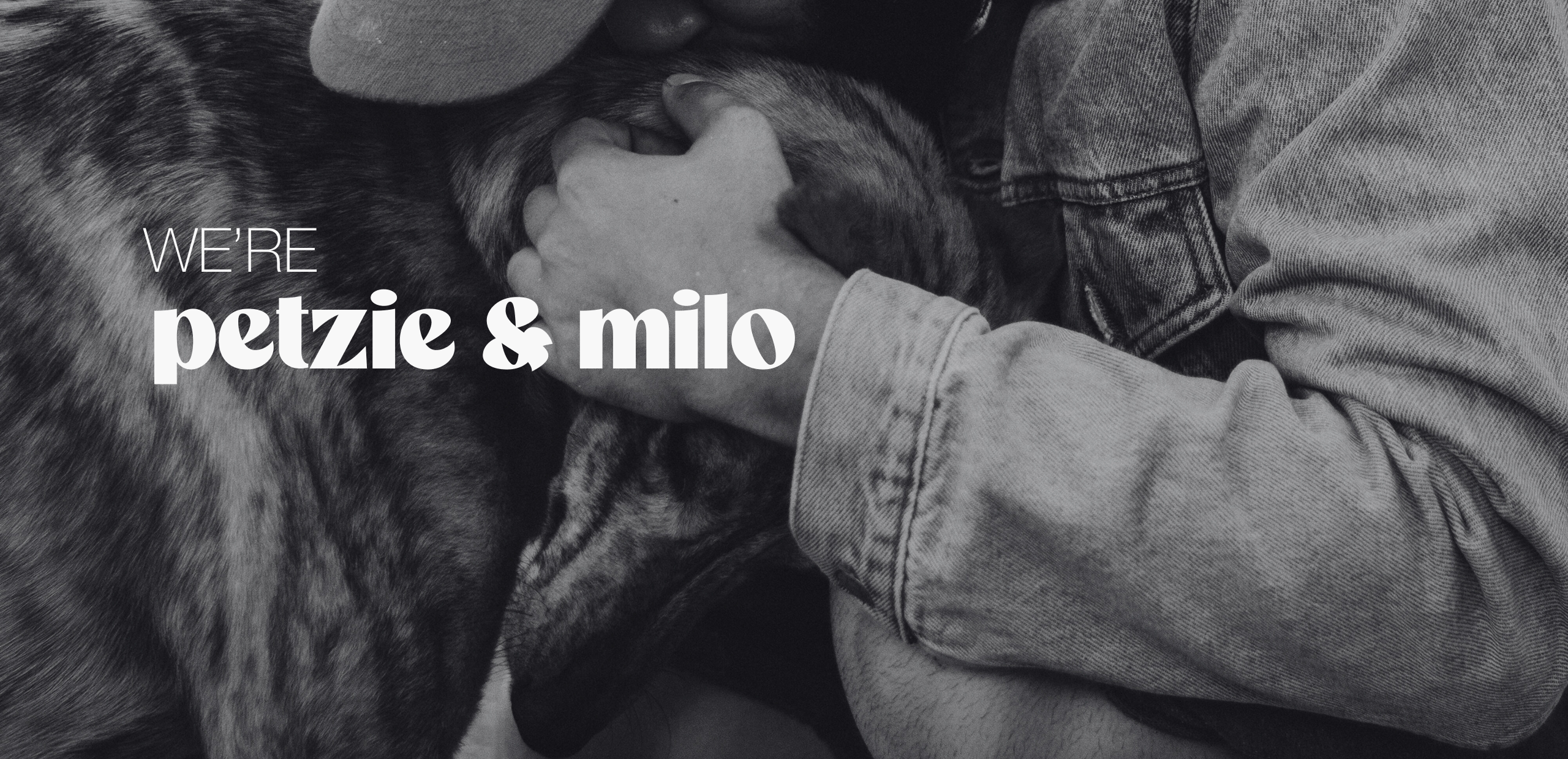 Person petting a dog with text overlay 'We're petzie & milo' in a black and white setting.