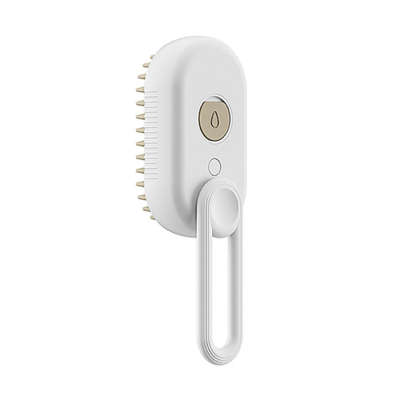 Steam Brush with Spray Function