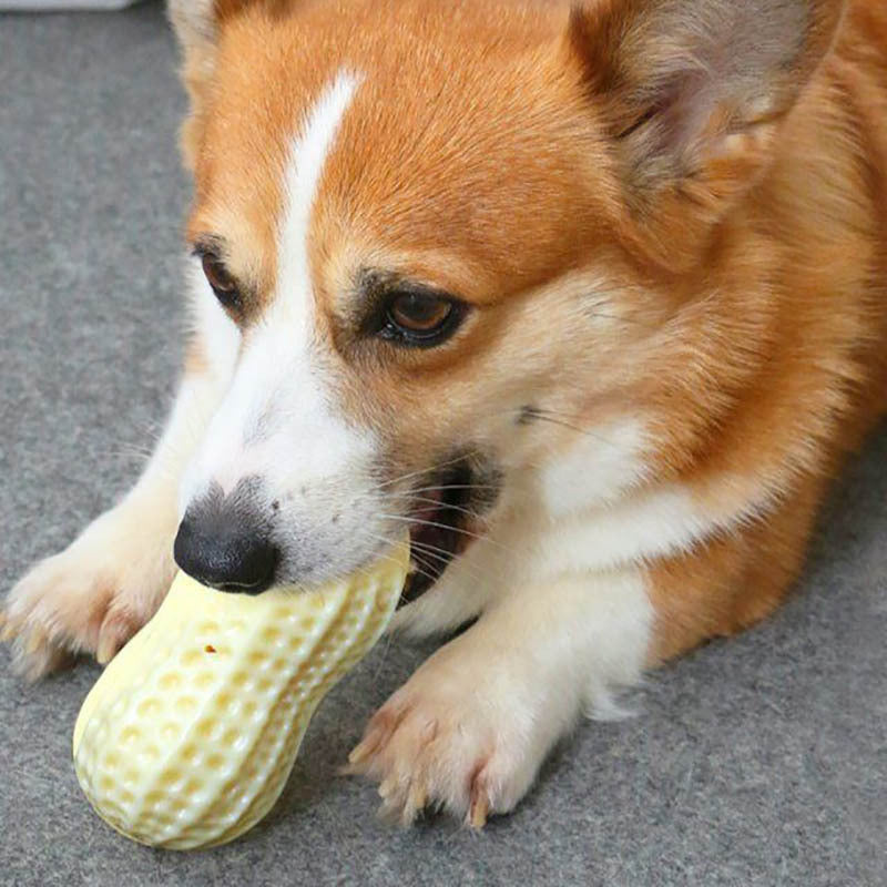 Peanut-Shaped Squeaky Dog Toy