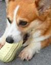 Peanut-Shaped Squeaky Dog Toy