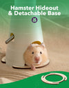 Cozy Hamster Oasis Water Bottle