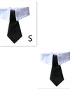 Stylish Pet Ties