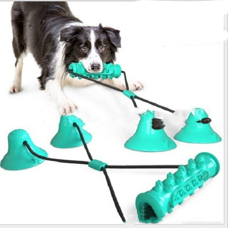 Suction Cup Dog Chew Toy