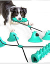 Suction Cup Dog Chew Toy