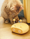 A cat playing with a yellow Cat Teasing Robot Laser Toy