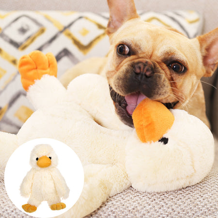 CuddleQuack Plush Dog Toy