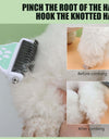 Double-Sided Pet Hair Remover